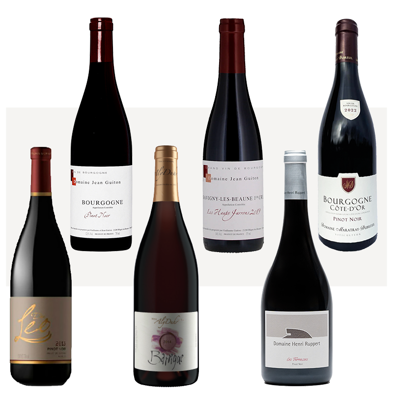 Pinot Noir Around the World - Bourgogne, Luxembourg og Mexico